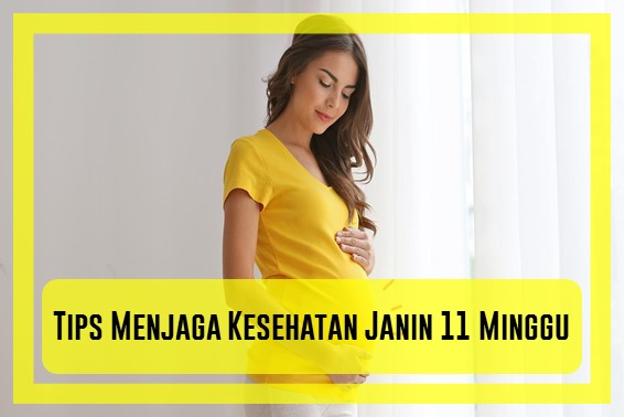 Detail Gambar Janin 11 Minggu Nomer 52