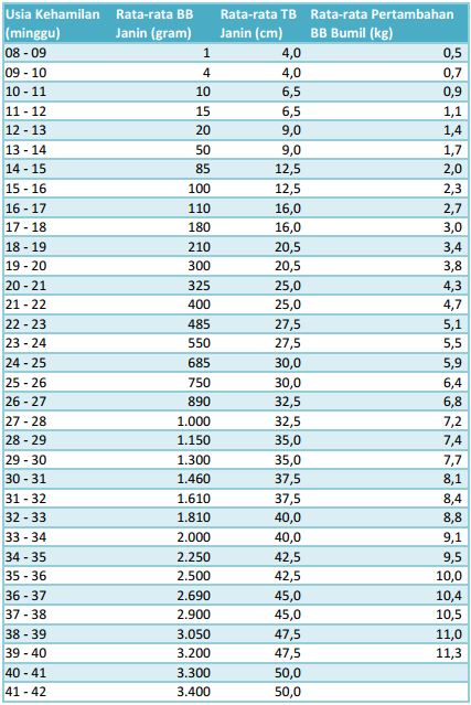 Detail Gambar Janin 28 Minggu Nomer 29