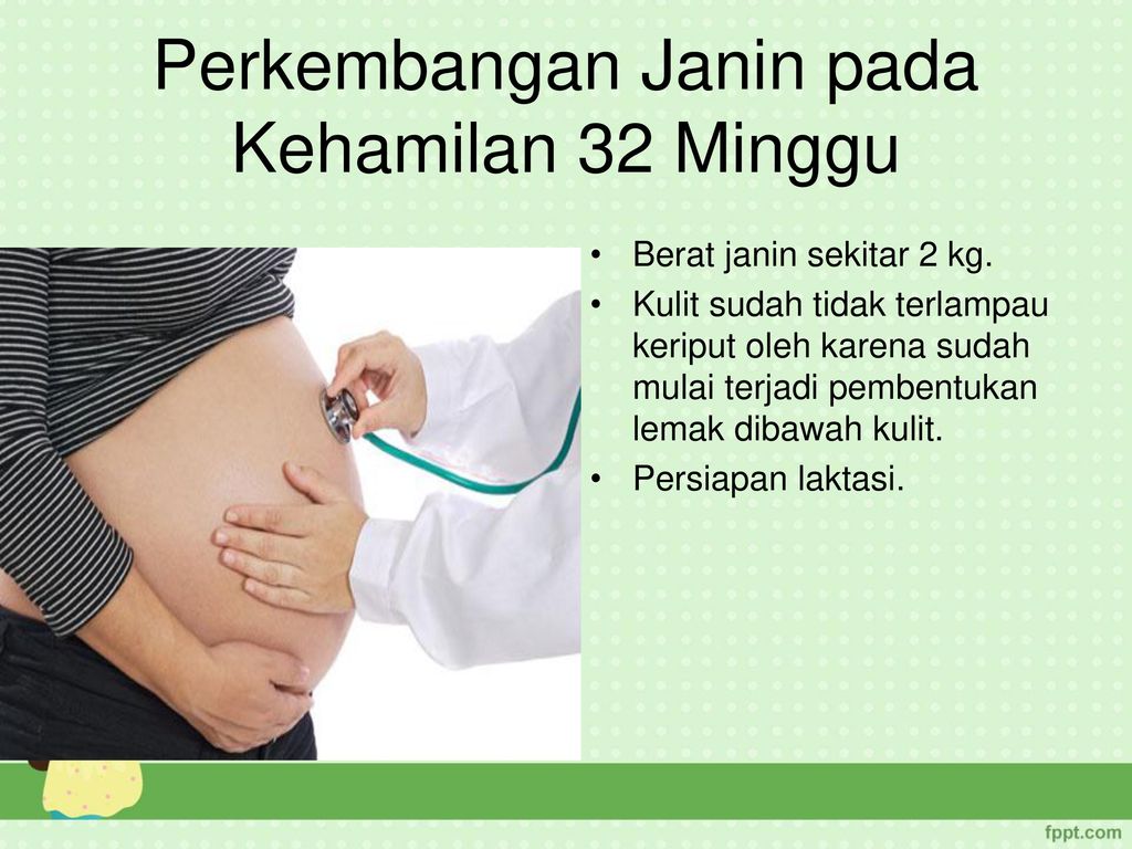 Detail Gambar Janin 32 Minggu Nomer 28