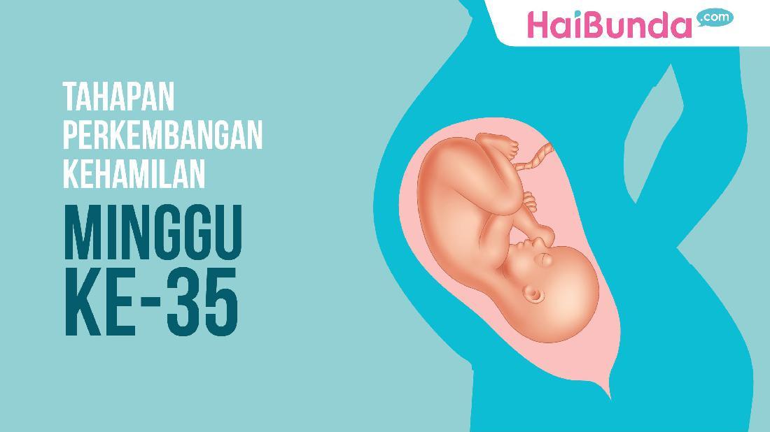 Detail Gambar Janin 35 Minggu Nomer 2