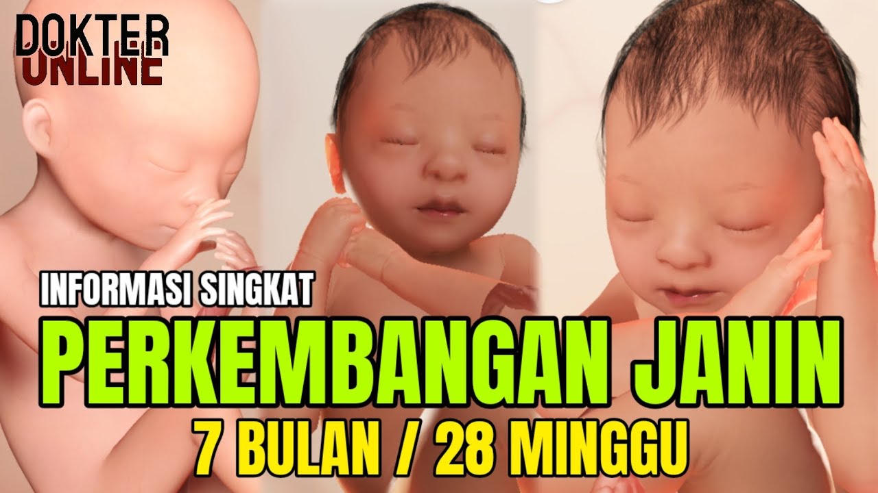 Detail Gambar Janin Umur 7 Bulan Nomer 55