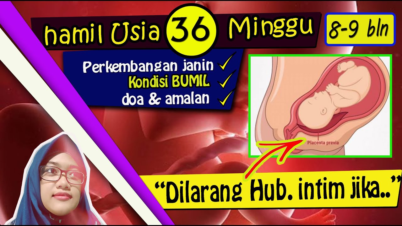 Detail Gambar Janin Usia 36 Minggu Nomer 9