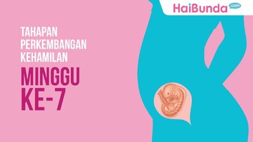 Detail Gambar Janin Usia 7 Minggu Nomer 15