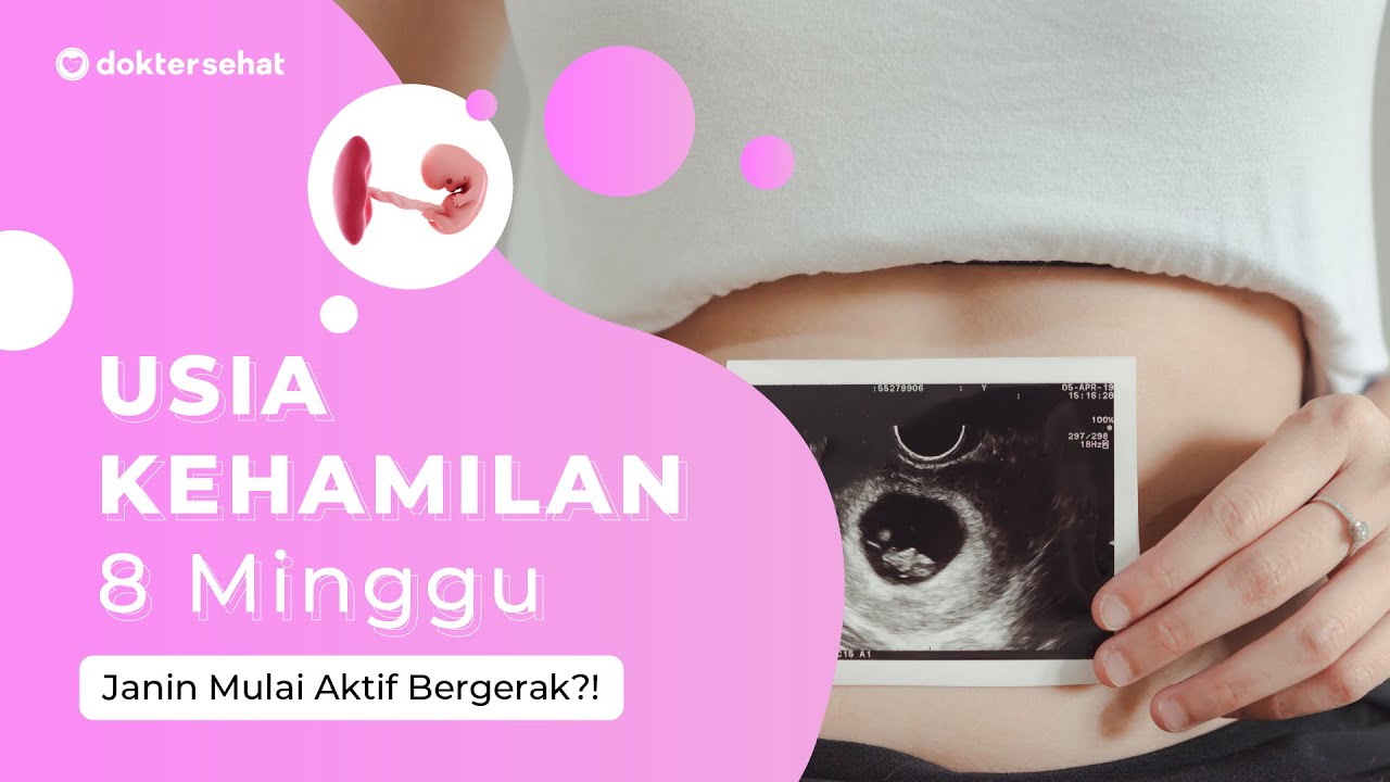 Detail Gambar Janin Usia 7 Minggu Nomer 40