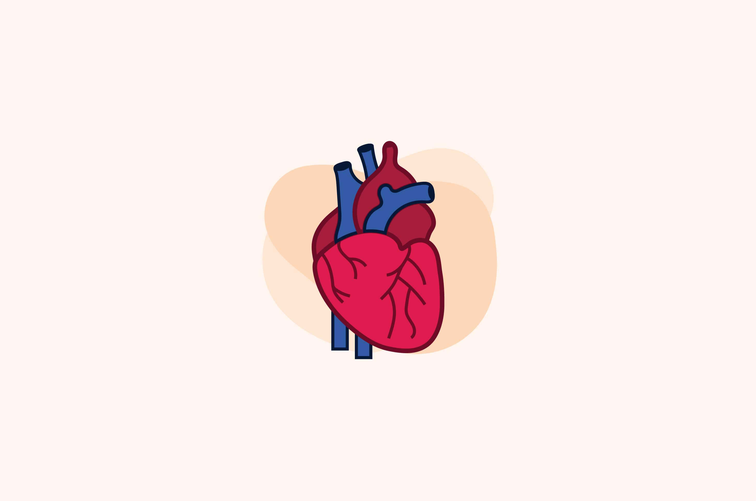 Detail Gambar Jantung Animasi Nomer 11