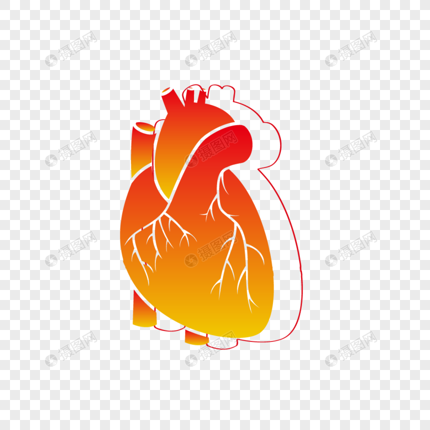 Detail Gambar Jantung Kartun Nomer 21
