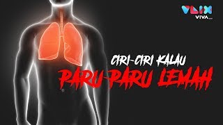 Detail Gambar Jantung Ke Paru Paru Nomer 24