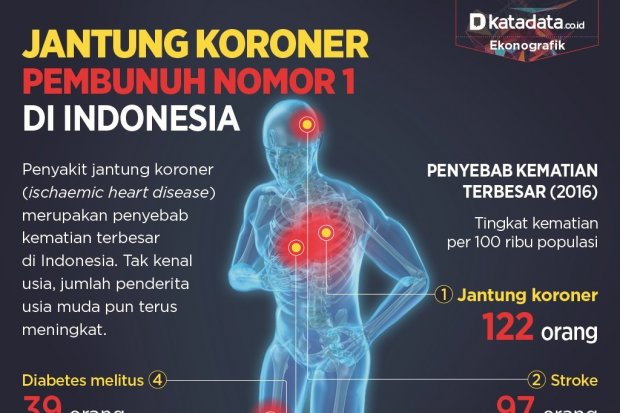 Detail Gambar Jantung Koroner Nomer 17