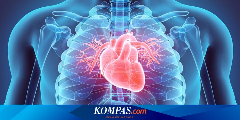 Detail Gambar Jantung Yang Mengalami Penyakir Jantung Koroneer Nomer 11