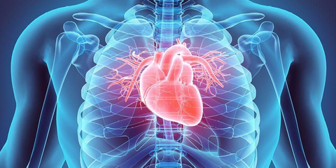 Detail Gambar Jantung Yang Mengalami Penyakit Jantung Koroner Nomer 10
