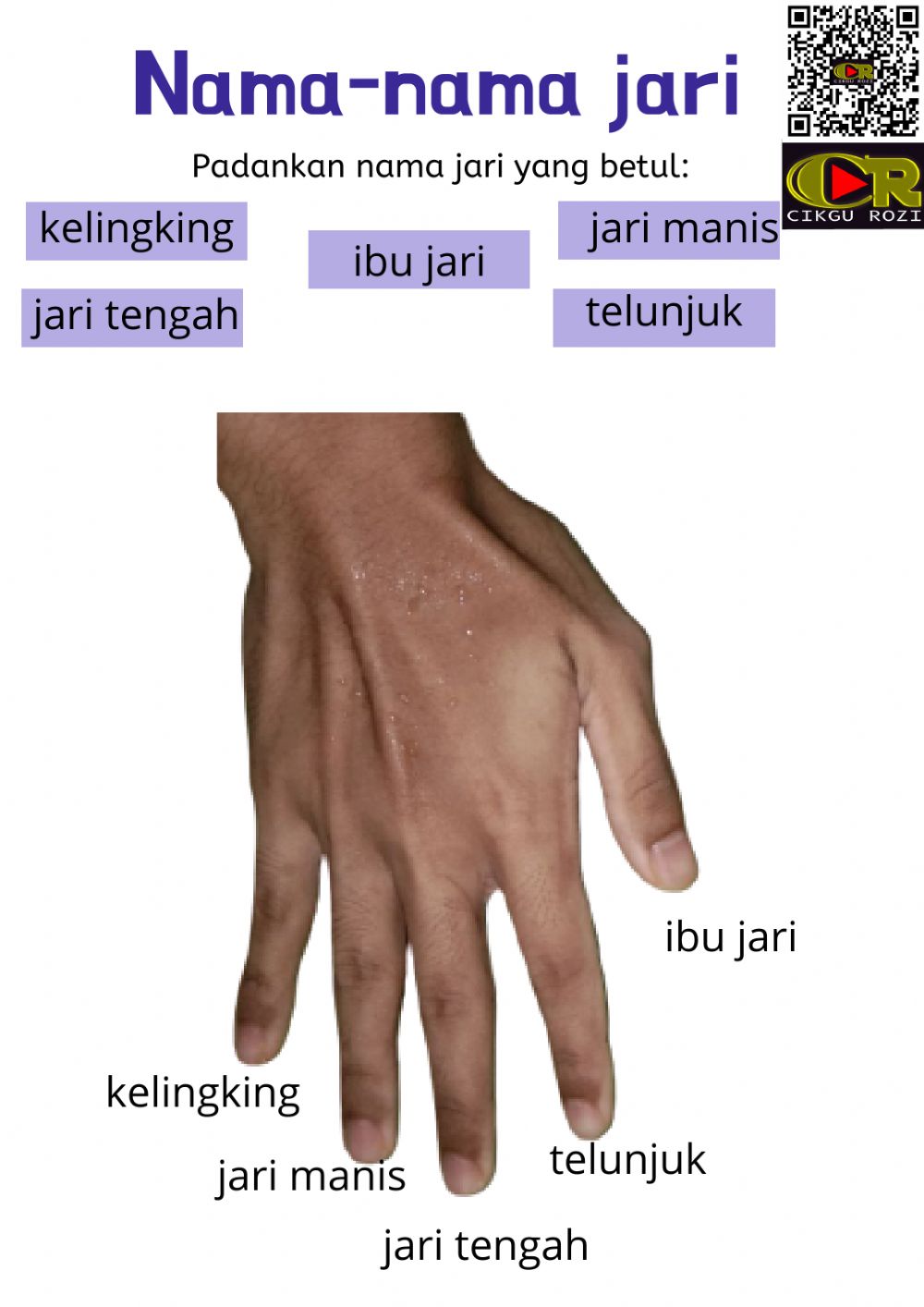 Detail Gambar Jari Jari Tangan Nomer 27