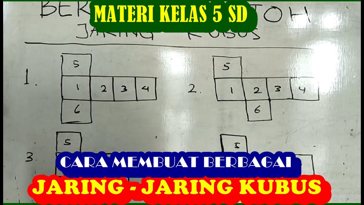 Detail Gambar Jaring Jaring Nomer 40