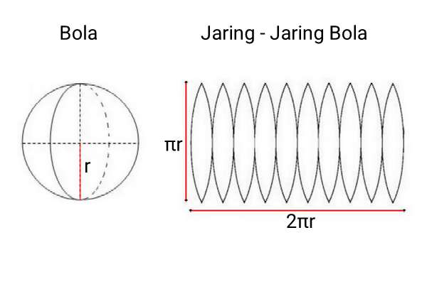 Detail Gambar Jaring Jaring Nomer 54