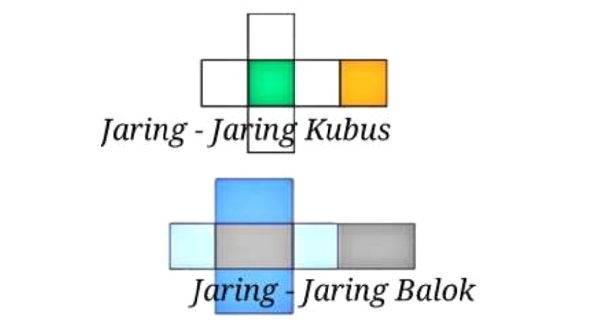 Detail Gambar Jaring Jaring Balok Dan Kubus Nomer 5