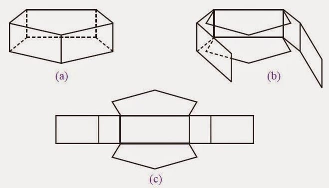 Detail Gambar Jaring Jaring Limas Segi Enam Nomer 32