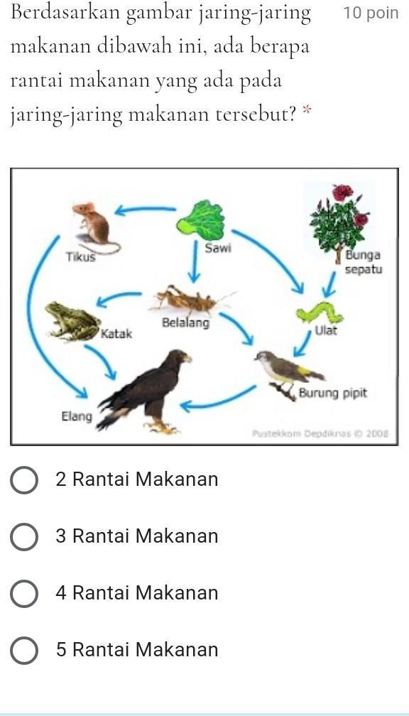 Detail Gambar Jaring Jaring Makanan Nomer 47