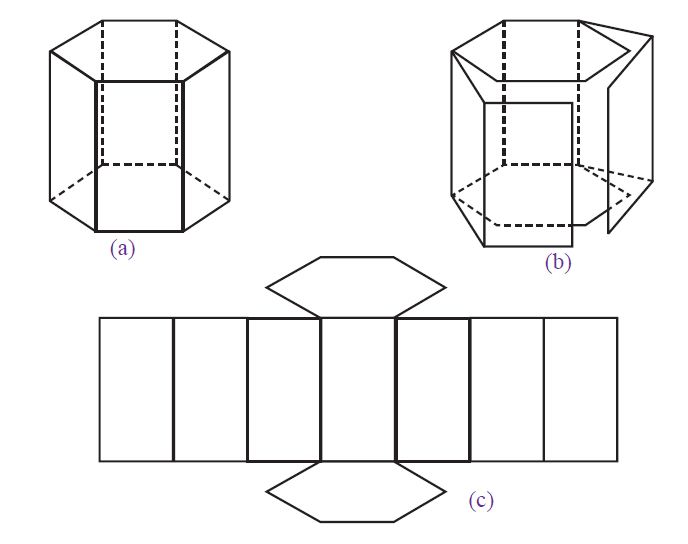 Detail Gambar Jaring Jaring Segitiga Nomer 41