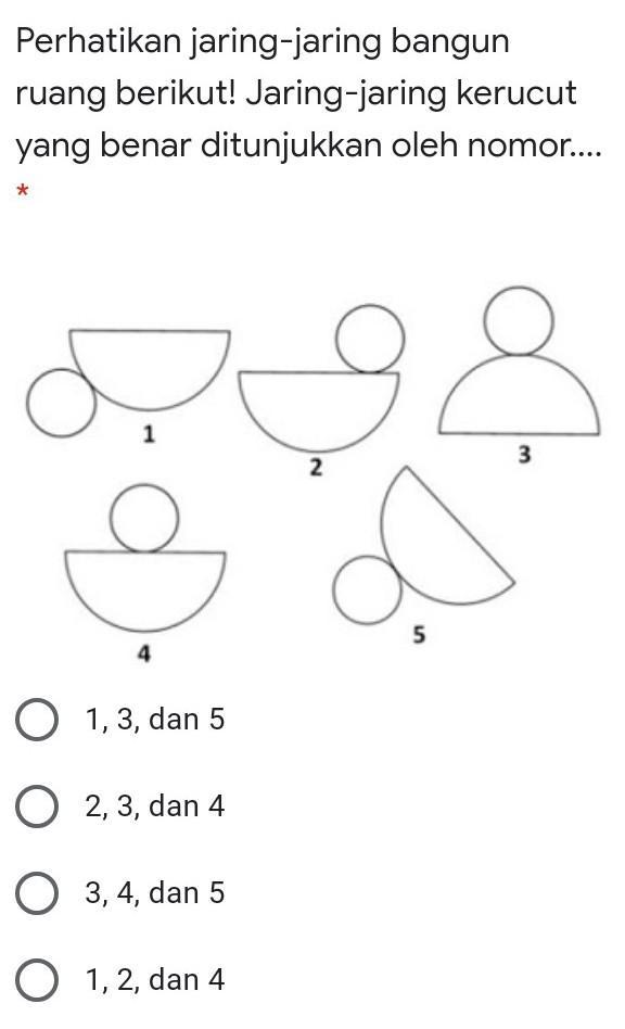 Detail Gambar Jaring Kerucut Nomer 18