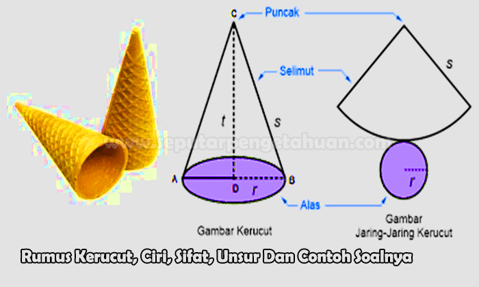 Detail Gambar Jaring Kerucut Nomer 26