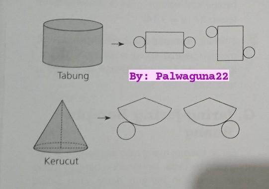 Detail Gambar Jaring Kerucut Nomer 33