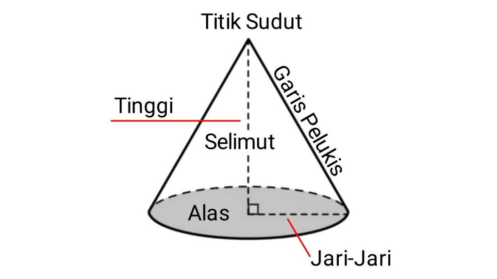 Detail Gambar Jaring Kerucut Nomer 36