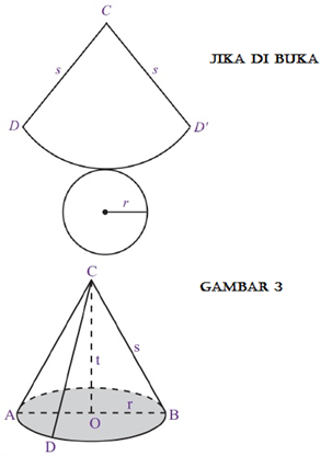 Detail Gambar Jaring Kerucut Nomer 38