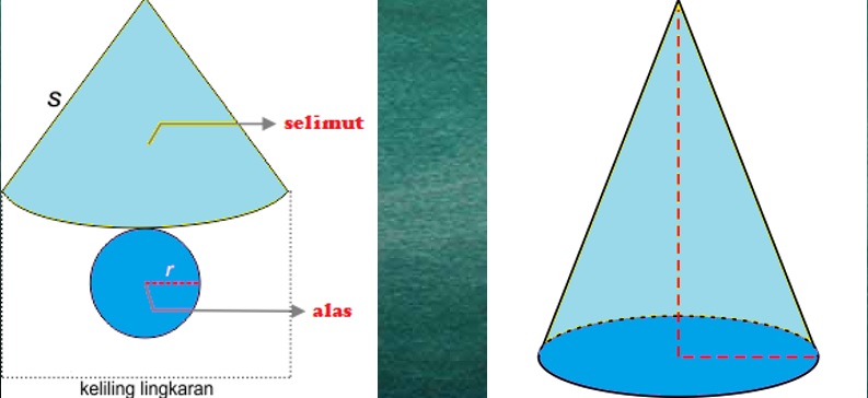 Detail Gambar Jaring Kerucut Nomer 39