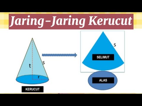 Detail Gambar Jaring Kerucut Nomer 47