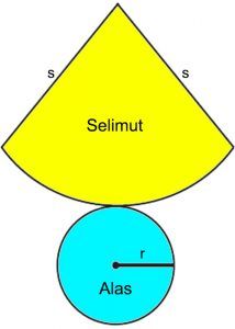 Detail Gambar Jaring Kerucut Nomer 53