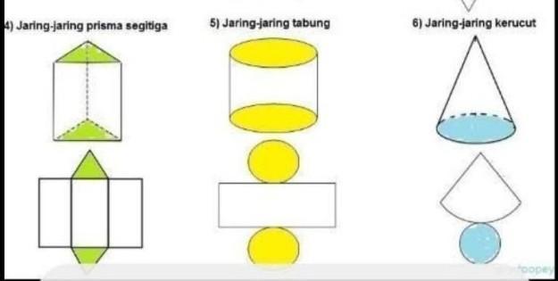 Detail Gambar Jaring Kerucut Nomer 54