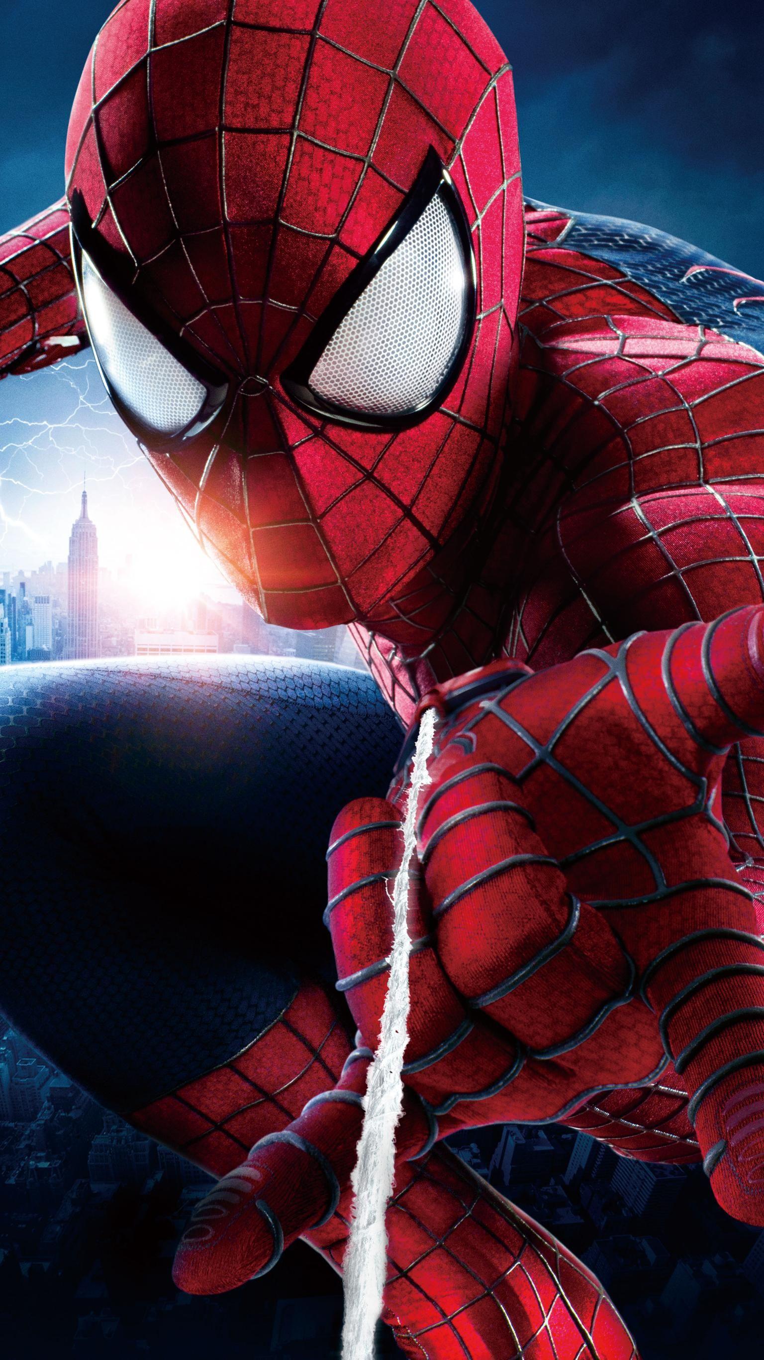 Detail Gambar Jaring The Amazing Spiderman 2 Nomer 2