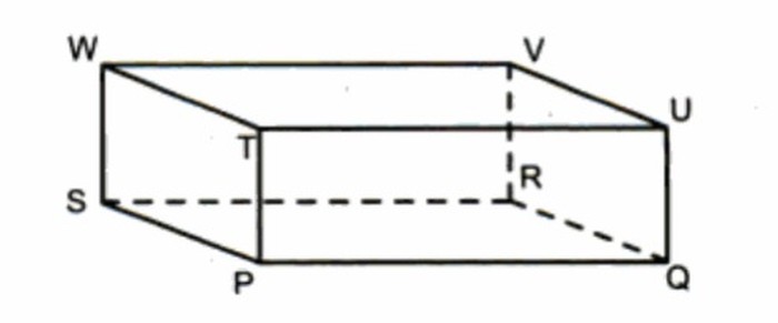 Detail Gambar Jaring2 Balok Nomer 51