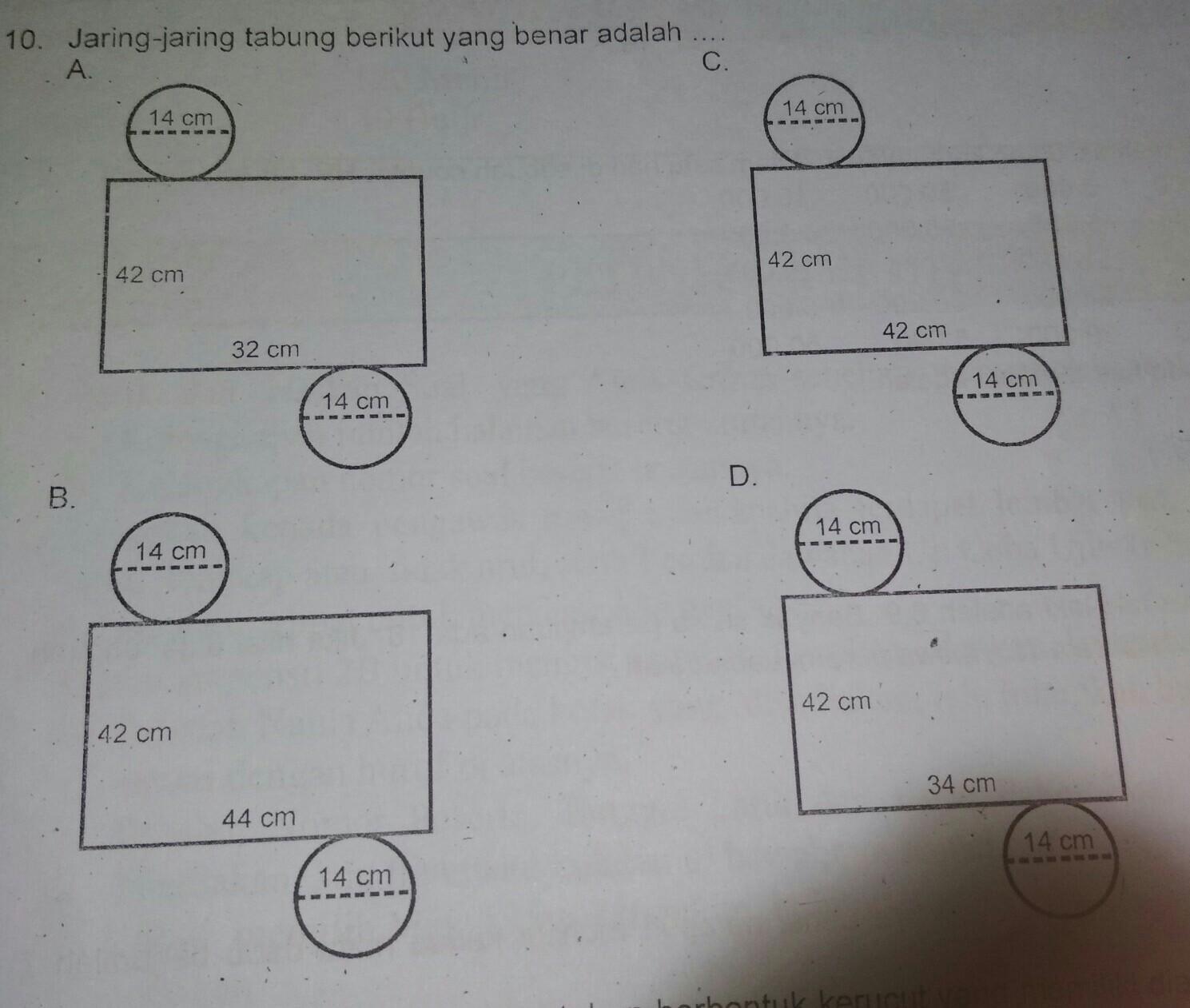 Detail Gambar Jaring2 Tabung Nomer 21