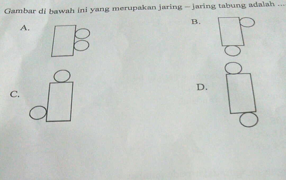 Detail Gambar Jaring2 Tabung Nomer 41