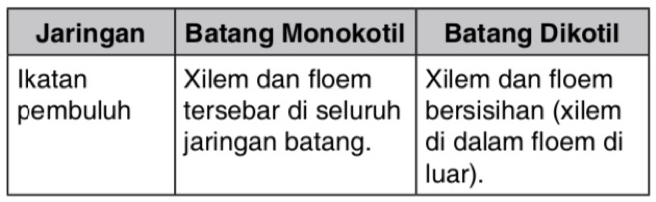 Detail Gambar Jaringan Batang Dikotil Dan Monokotil Nomer 47