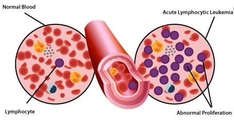 Detail Gambar Jaringan Darah Nomer 22