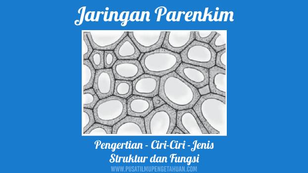 Detail Gambar Jaringan Dasar Nomer 2