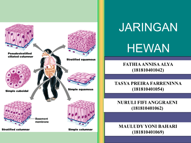 Detail Gambar Jaringan Epitel Nomer 49