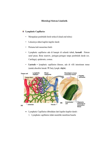 Detail Gambar Jaringan Limfa Nomer 17