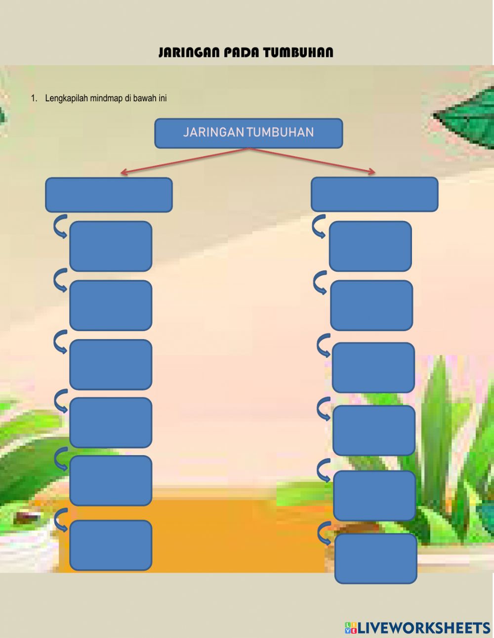 Detail Gambar Jaringan Meristem Pada Tumbuhan Nomer 46