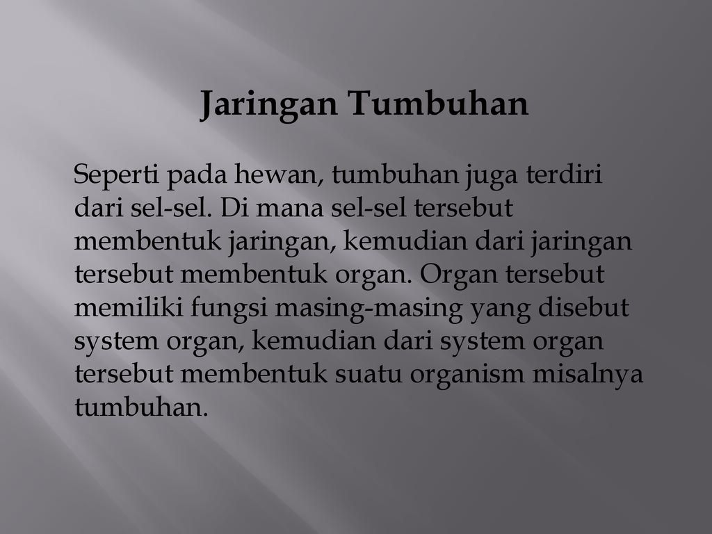 Detail Gambar Jaringan Meristematik Gambar Jaringan Meristematik Pada Hewan Nomer 24