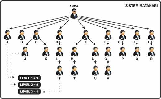 Detail Gambar Jaringan Mlm Nomer 9