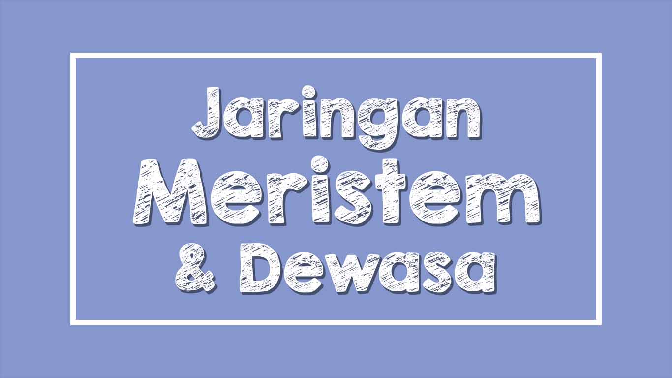 Detail Gambar Jaringan Mmeristem Dan Jaringan Dewasa Nomer 12