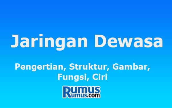 Detail Gambar Jaringan Mmeristem Dan Jaringan Dewasa Nomer 35