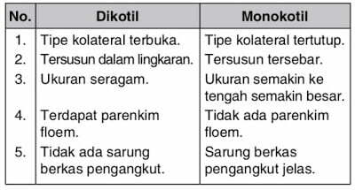 Detail Gambar Jaringan Pengangkut Pada Tumbuhan Nomer 56