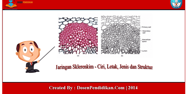 Detail Gambar Jaringan Penguat Nomer 39