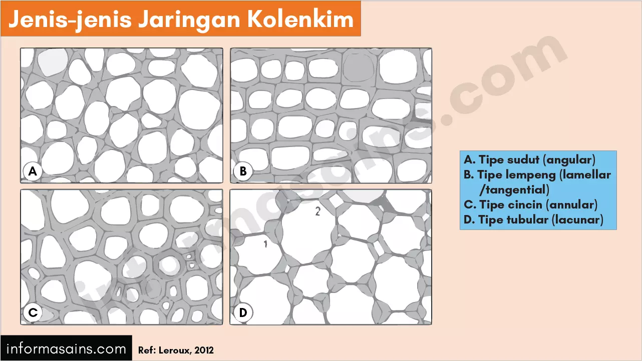 Detail Gambar Jaringan Penyokong Nomer 22