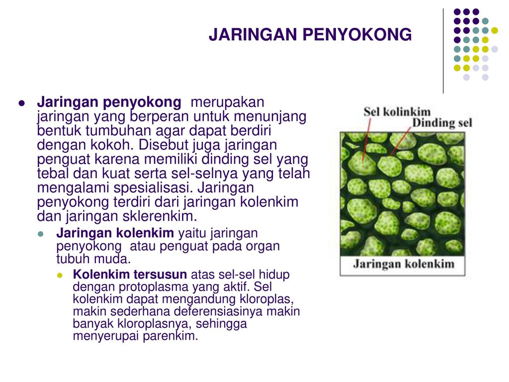 Detail Gambar Jaringan Penyokong Nomer 25