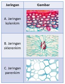 Detail Gambar Jaringan Penyokong Nomer 32