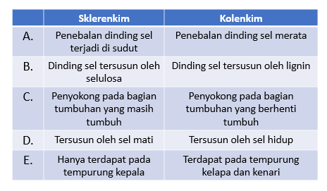 Detail Gambar Jaringan Penyokong Pada Tumbuhan Nomer 51